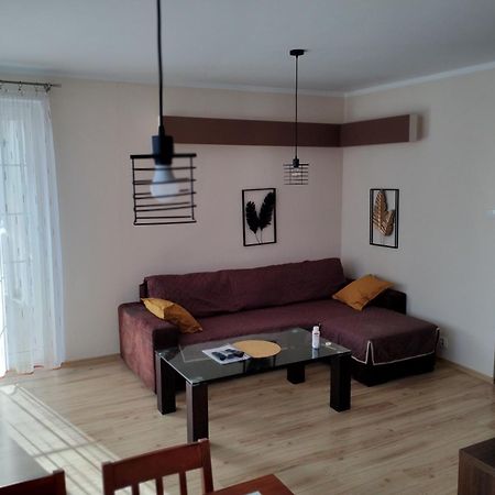 Green Apartment Z Bezplatnym Parkingiem Olsztyn  Esterno foto