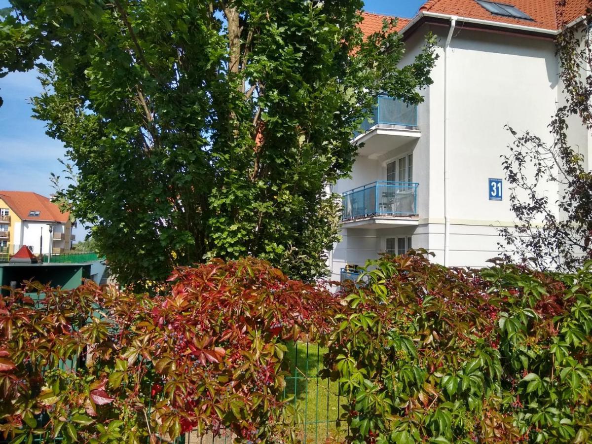 Green Apartment Z Bezplatnym Parkingiem Olsztyn  Esterno foto